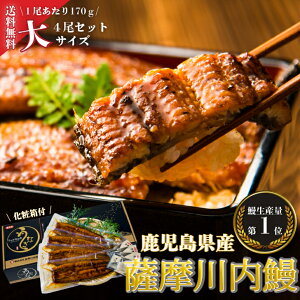 yz Ȃ@Y@Y@ā@4Zbg@Mtg@@Vd@V@Ε@̓@̓@@hV̓