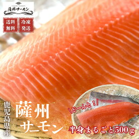 薩州サーモン 半身まるごとセット500g　生食用　サーモン　刺身　プレゼント　贈答　ギフト　お取り寄せ　冷凍　鹿児島県産　国産　送料無料