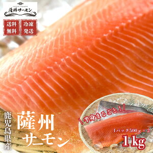 yzyYz@FBT[g܂邲ƃZbg1kg@kHp@T[@hg@@v[g@@Mtg@񂹁@Ⓚ@Yl