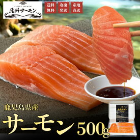 【500円OFFクーポン】薩州サーモン　500g 生食用　サーモン　刺身　小分け　プレゼント　贈答　ギフト　お取り寄せ　冷凍　鹿児島県産　国産　送料無料