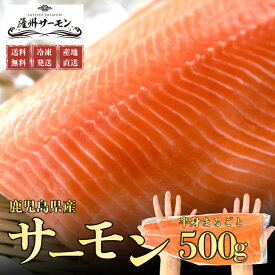 【500円OFFクーポン】薩州サーモン 半身まるごとセット 500g　生食用　サーモン　刺身　プレゼント　贈答　ギフト　お取り寄せ　冷凍　鹿児島県産　国産　送料無料