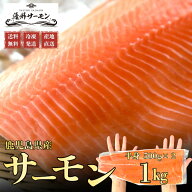 【800円OFFクーポン】薩州サーモン 半身まるごとセット 1kg　生食用　サーモン　刺身　プレゼント　贈答…