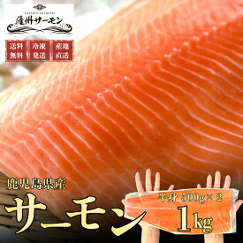 【500円OFFクーポン】薩州サーモン 半身まるごとセット 1kg　生食用　サーモン　刺身　プレゼント　贈答　ギフト　お取り寄せ　冷凍　鹿児島県産　国産　送料無料