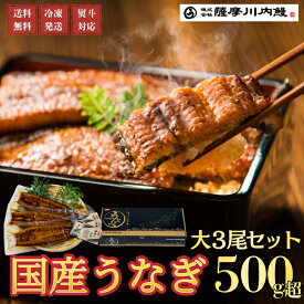 【500円OFFクーポン】うなぎ　国産　蒲焼　大3尾セット　ギフト　贈答　鰻重　鰻丼　お歳暮　母の日　父の日　お中元　敬老の日　送料無料　鹿児島県産
