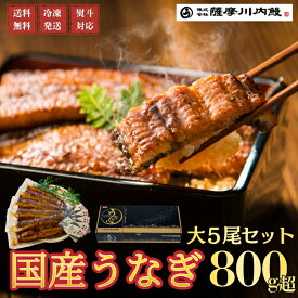 【500円OFFクーポン】うなぎ　国産　蒲焼　大5尾セット　ギフト　贈答　鰻重　鰻丼　お歳暮　母の日　父の日　お中元　敬老の日　送料無料　鹿児島県産