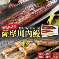 【500円OFFクーポン】うなぎ　国産　鹿児島県産　白焼1尾・蒲焼2尾　合計3尾セット　ギフト　贈答　鰻重…