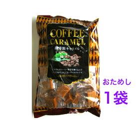 【おためし】大粒で少し固めのコーヒーキャラメルです。ほのかな苦味とコーヒーの香ばしい香りの豊かな味が楽しめます。珈琲館キャラメル273g　1個　宮田製【送料無料】※ポスト投函ですのでご到着後早めにお受け取りください。