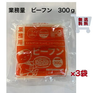 ケンミン ビーフン 300g×3袋セット 業務用 米粉