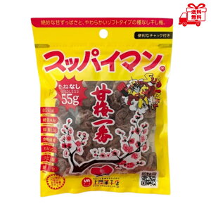 XbpC}@˂Ȃ@Ô~ 55g@@~@yY@@XibN@@_CGbg