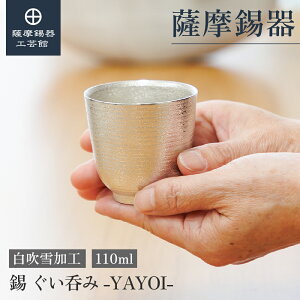 y FH|فz ̂ۂ 110ml LO MLOi { a_ Elސ ˔ v[g [No.2025-6-20]