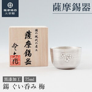 y FH|فz ̂ۂ  75ml ̓ { ߖڂ̑蕨 ꗬ v[g [No.92]