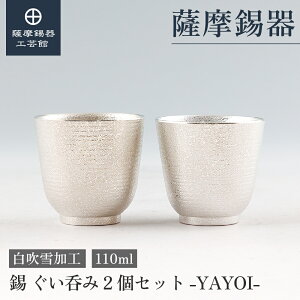 y FH|فz  ۂ 2Zbg  110ml LO җj yAMtg  Elސ ˔ v[g [No.2025-6-20-2]