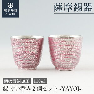 y FH|فz  ۂ 2Zbg  110ml LO җj yAMtg  Elސ ˔ v[g [No.2025-6-20-B-2]