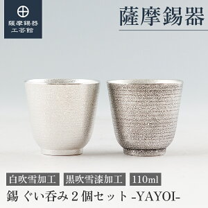 y FH|فz  ۂ 2Zbg E 110ml LO җj yAMtg  Elސ ˔ v[g [No.2025-6-20E2025-6-20-A]