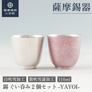 y FH|فz  ۂ 2Zbg E 110ml LO җj yAMtg  Elސ ˔ v[g [No.2025-6-20E2025-6-20-B]