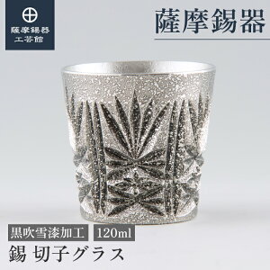 y FH|فz  F؎qV[Y  120ml ̓ ސELOi LOi ꗬ ˔ v[g [No.95]