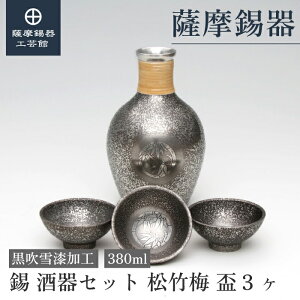 y FH|فz  Zbg 380ml ̓ LO ߖڂ̑蕨 ꗬ Elސ ˔ v[g [No.60]