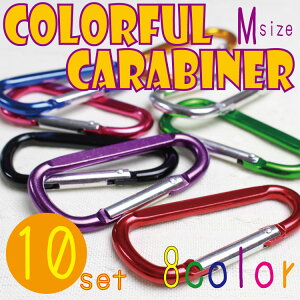 Jri 8J[Y y1F10Zbgz IׂJ[  tFX mxeB ꂪł Lv AEghA ނ oR c  LO LOi Mtg v[g N싅 TbJ[ 