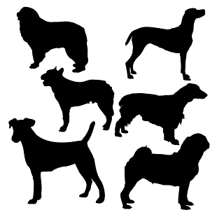 yVGbgXebJ[zyIׂJ[zR ^ Zbg S[fgo[ /D/B/LY/LYB/h/ANv[g/p[e[V//KX///