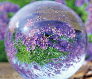  lHnB  肢   ^C㏸ 80mm u_̃p[vƐ̂`鐅  肢 G ^C㏸ 