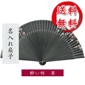 q     F̐q Zn /O/hV̓//⍥/Mtg/v[g/蕨/̓/̓ yyMt_z ngift y[֑/ꖳ/˔z