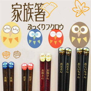 ՂtNEvw ˔tƑZbg 3V 4V 5V ӂ낤 Ƒ/vw//O/H/oYj/qp/Vzj//Mtg/v[g/蕨/yyMt_z yyMt_