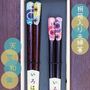 vw yꖳz 2VZbg V ̓V[Y aP23cm21cm kJ[ vw   O H ͂ yA  j LO  ⍥ җ Mtg v[