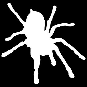 yVGbgXebJ[NAzyJ[10ށz/IV/JbeBOXebJ[/]/h/B/XebJ[//T[tB/XP{[/oCN/XpC_[/^`/w/fJ[