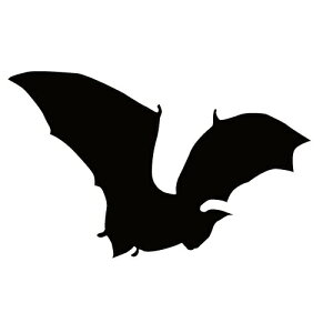 XebJ[ REN ͂΂RE 󕑂RE obg} nEB  N[/XebJ[/ANv[g/p[e[V//KX///fR/XP{[/