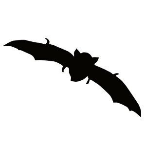 XebJ[ RET ͂΂RE 񂱂 obg} nEB  N[/XebJ[/ANv[g/p[e[V//KX///fR/XP{[/