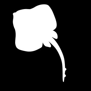 XebJ[ }^  C̐/XebJ[/ANv[g/p[e[V//KX///fR/y[֑z