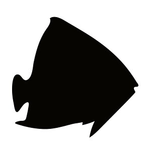 XebJ[ GWFtBbV Mы A}] S[f}[u  N[/XebJ[/ANv[g/p[e[V//KX///fR/y[֑