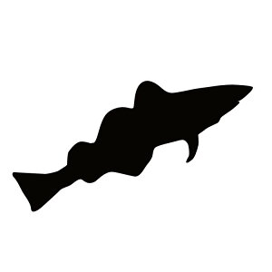 XebJ[  ^  N[/XebJ[/ANv[g/p[e[V//KX///fR/y[֑z