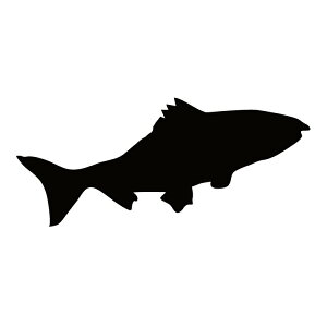 XebJ[ TP   N[ kシ T[gEg TN}X jW}X  MUP/XebJ[/ANv[g/p[e[V//KX///fR/y