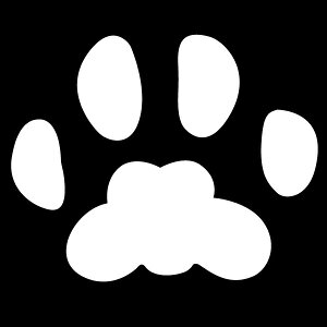 ԃ}[NySE}[NXebJ[zԂ̋ȂǂɁI킢VGbgyJ[10ށz]ʃXebJ[/JbeBOXebJ[fJ[/B/LY/LYB/]ʃXe