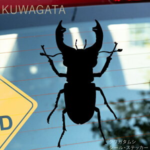 VGbgXebJ[ŃIVɁIyVGbgXebJ[zNK^/킪_CyIׂJ[z]ʃXebJ[/JbeBOXebJ[fJ[h/XebJ[/AN