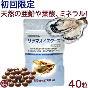 yZEꖼ`1_܂ŁzTc}ICX^[Y 40y[։z  Y { VR ~l t_  ܗL Tv y JL sTc}ǃIWiit