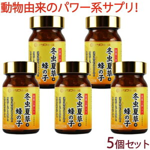 高麗人参 入り 冬虫夏草 + 蜂の子 90カプセル×5個セット【送料無料】こうらい 人参 とうちゅうかそう サプリ サプリメント トウチュウカソウ 健康食品 みなぎる 栄養 エネルギー ハチの子 日