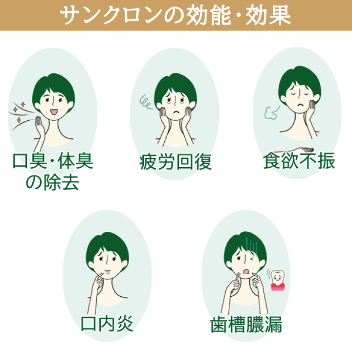 楽天市場】【第3類医薬品】〔サンクロン〕サンクロン 6本入 送料 楽天市場】【第3類医薬品】〔サンクロン〕サンクロン 6本入 送料