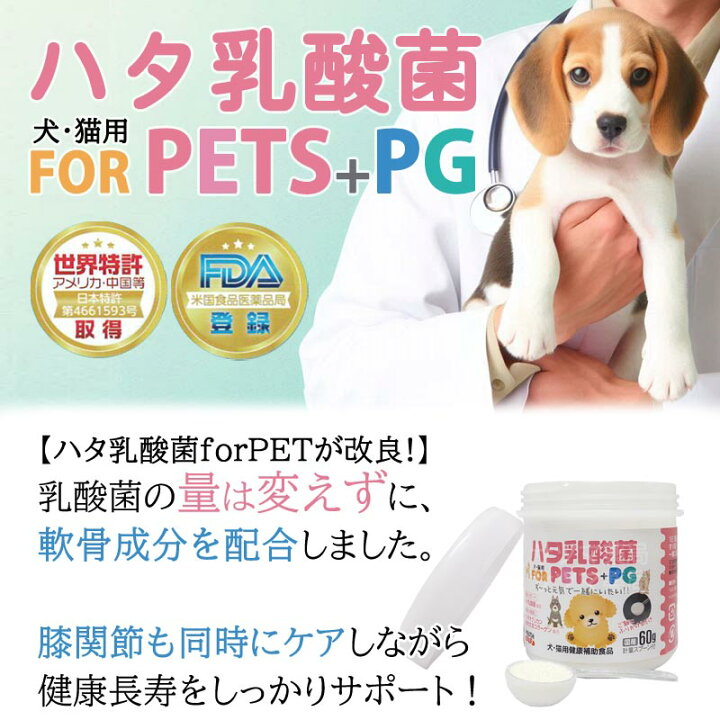 楽天市場】ペット用 ハタ乳酸菌 FOR PETS + PG 60g×5個セット 計量 