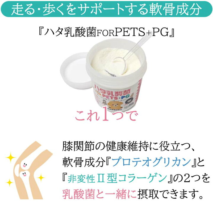 楽天市場】ペット用 ハタ乳酸菌 FOR PETS + PG 60g×5個セット 計量 