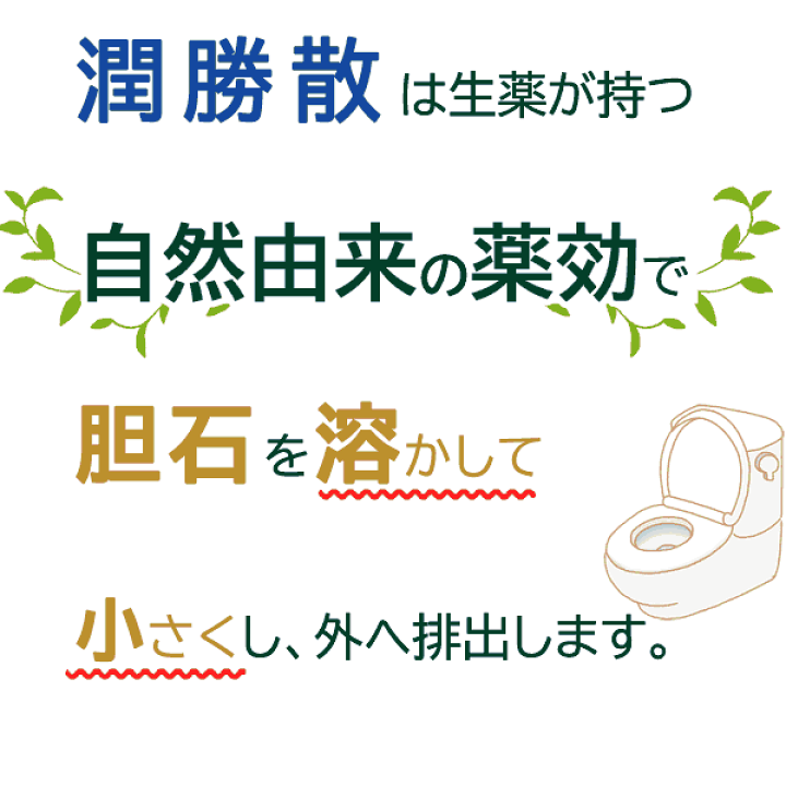 楽天市場】【第2類医薬品】〔建林松鶴堂〕潤勝散 90包 | 結石