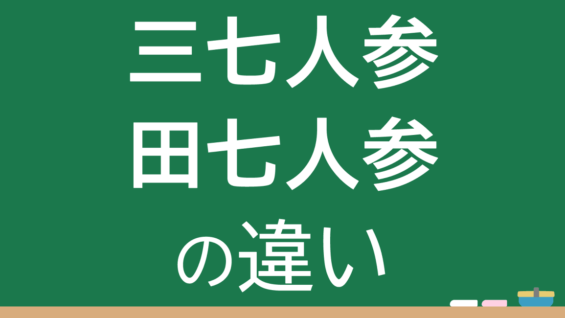 楽天市場 | 漢方のサツマ薬局 楽天市場店 - 【2026年版】三七人参（田