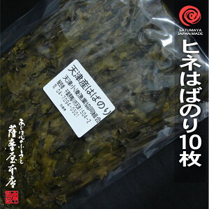 ߘa7N 2025NY ͂΂̂ ql D 1 10 t͂  ͂ΊC [iVÏj VYs s KD100 1 no ͂  [B [ t  