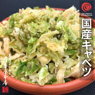 国産乾燥キャベツ 550g 国産乾燥野菜シリーズ エアドライ 低温熱風乾燥製法 九州産 熊本県産 みそ汁 フリ…