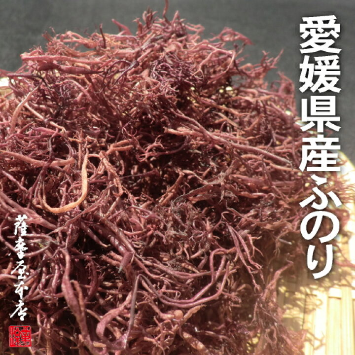 楽天市場 天然ふのり 愛媛県産 500g 水洗い A等級 まふのり フクロフノリ 乾燥 ドライ 海藻 干し 食物繊維 ミネラル 国産 国内産 国産乾物問屋 薩摩屋本店 楽天市場 天然ふのり 愛媛県産 500g 水洗い A等級 まふのり フクロフノリ 乾燥 ドライ 海藻 干し 食物繊維 ミネラル 国産 国内産 国産乾物問屋 薩摩屋本店