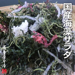 YCT_ 7~bNX 100g Y100 ^Cv 킩 킩 z V Ƃ ӂ̂ ܂ӂ̂ 茧 Dn O