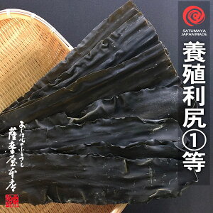 {B Kz 1 500g kCY kCY Ki 肵 z VR 當 K t Ru 