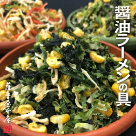 国産乾燥ラーメンの具 しょうゆ 100g ミックス 即席 カップ 麺 乾麺 ラーメン 国産乾燥野菜シリーズ コーン わかめ ほうれん草 ねぎ たまねぎ みそ 汁 味噌 しお とんこつ 九州産 熊本県産 フリーズドライ ドライベジタブル 保存食 非常食 長期保存