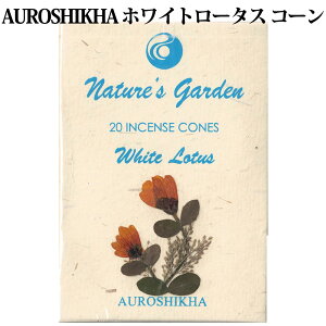  IEVJ zCg[^X R[  CZX v[g bNX Mtg AUROSHIKHA Ch